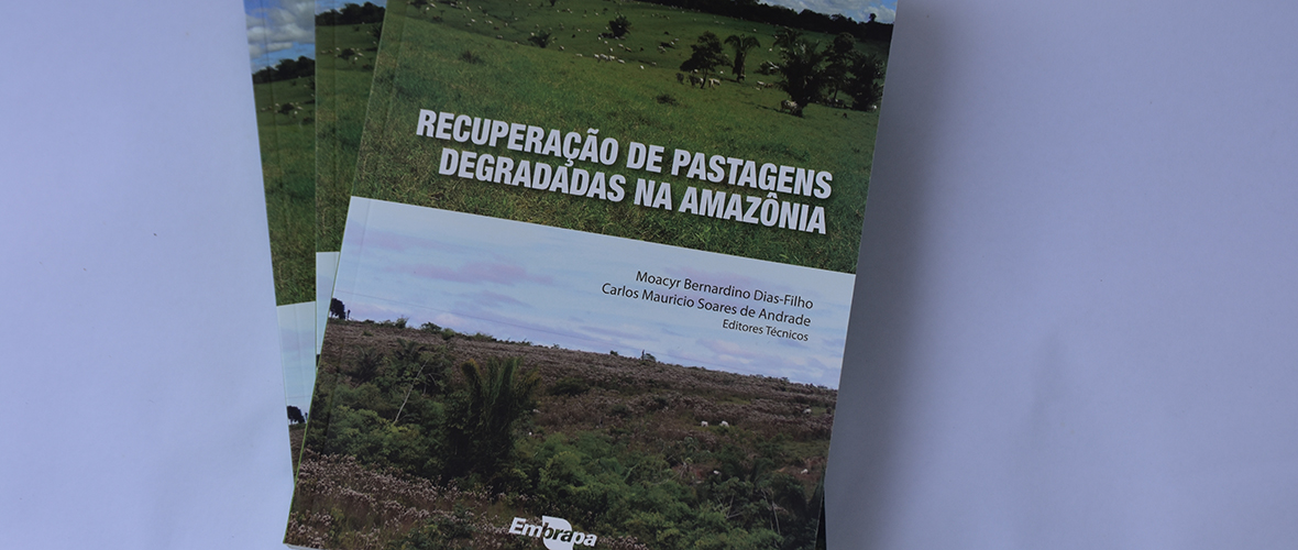 Publicação reúne 40 anos de pesquisa sobre recuperação de pastagens na Amazônia