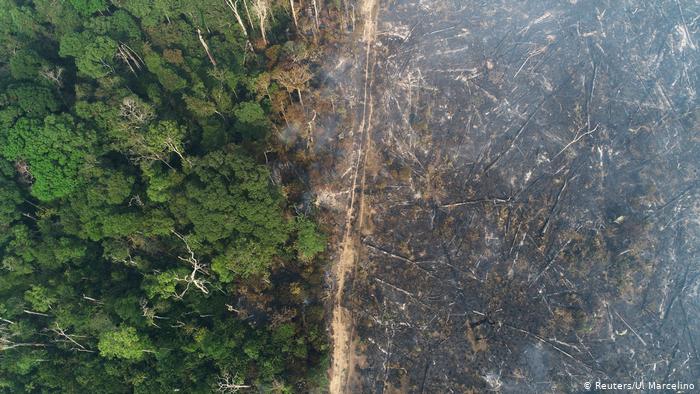 Alertas de desmatamento na Amazônia passam de 1 mil km² em abril e batem recorde para o período
