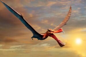 Descoberto fóssil de ‘dragão’ que foi o maior réptil voador da Austrália