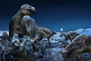 Doenças dos dinossauros podem informar sobre como as espécies viveram e morreram