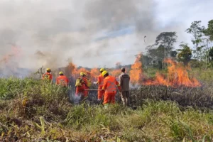 Brigadistas voluntários passam por capacitação para combater incêndios florestais no Acre