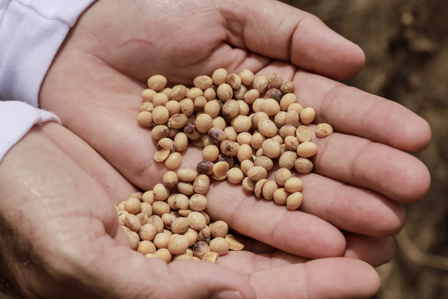 soja-foi-o-produto-do-acre-mais-exportado-em-2023