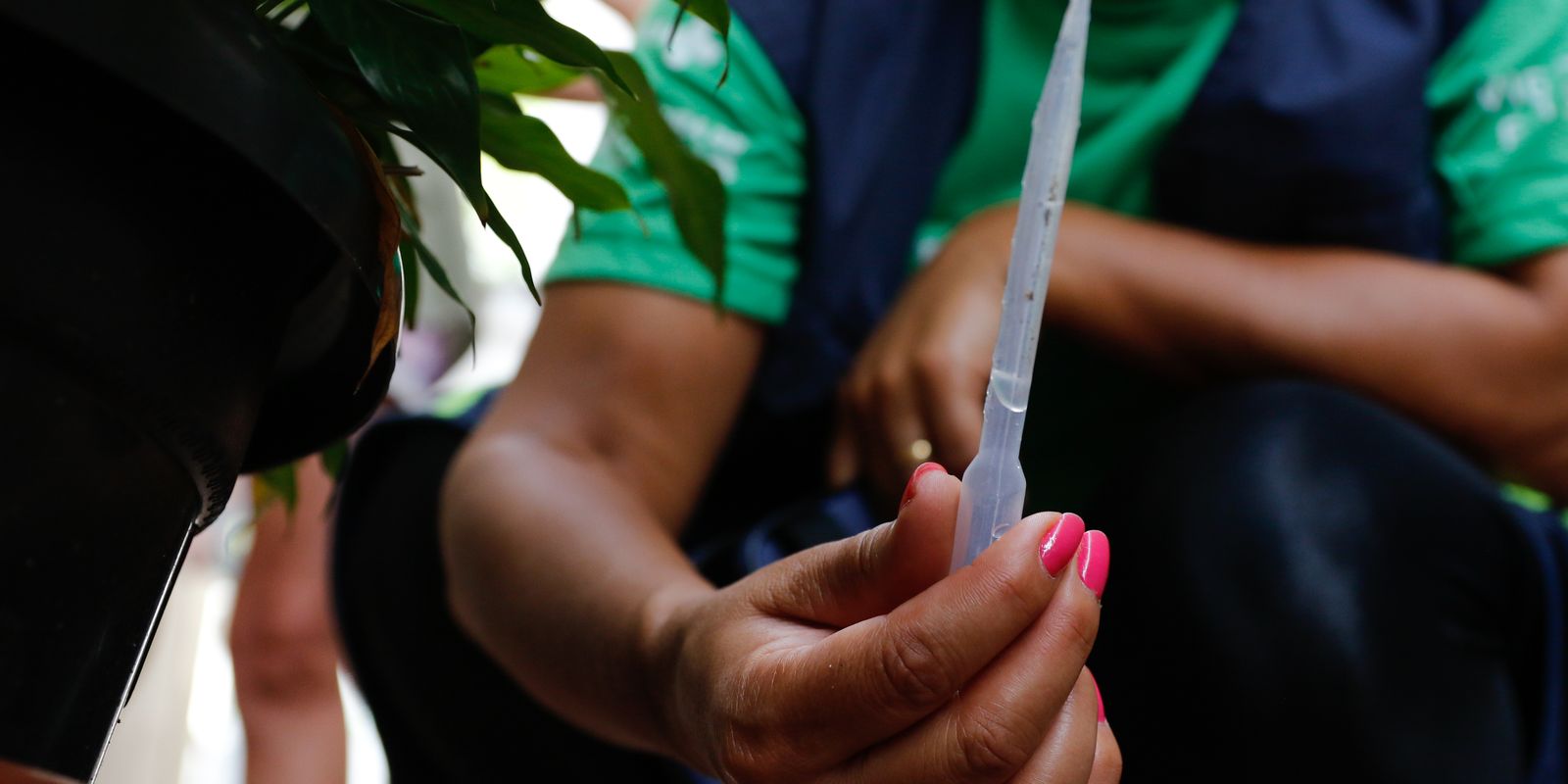 distribuicao-da-vacina-contra-a-dengue-comeca-na-proxima-semana
