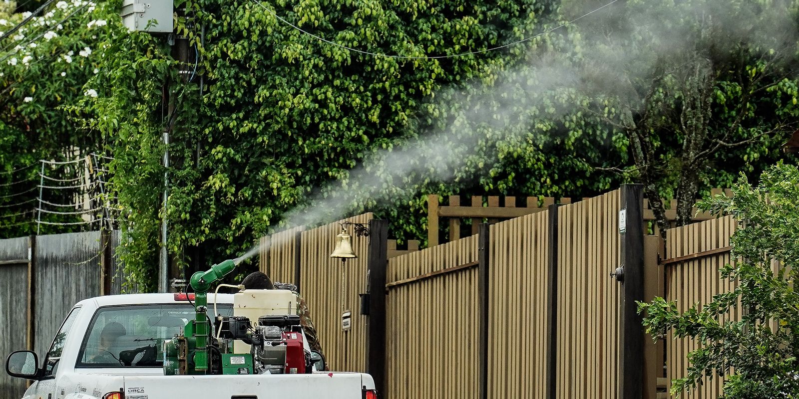 rio-de-janeiro-confirma-segunda-morte-por-dengue