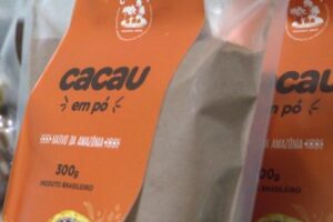 Embrapa realiza inventário em áreas de cultivo de cacau em Boca do Acre