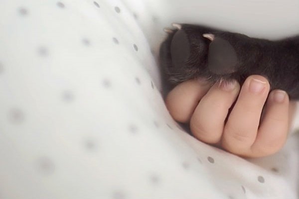 video:-relacao-emocionante-entre-cachorro-e-bebe-viraliza-na-web