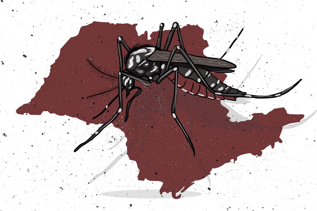 dengue:-2-meses-de-2024-ja-igualam-soma-de-casos-dos-ultimos-19-anos