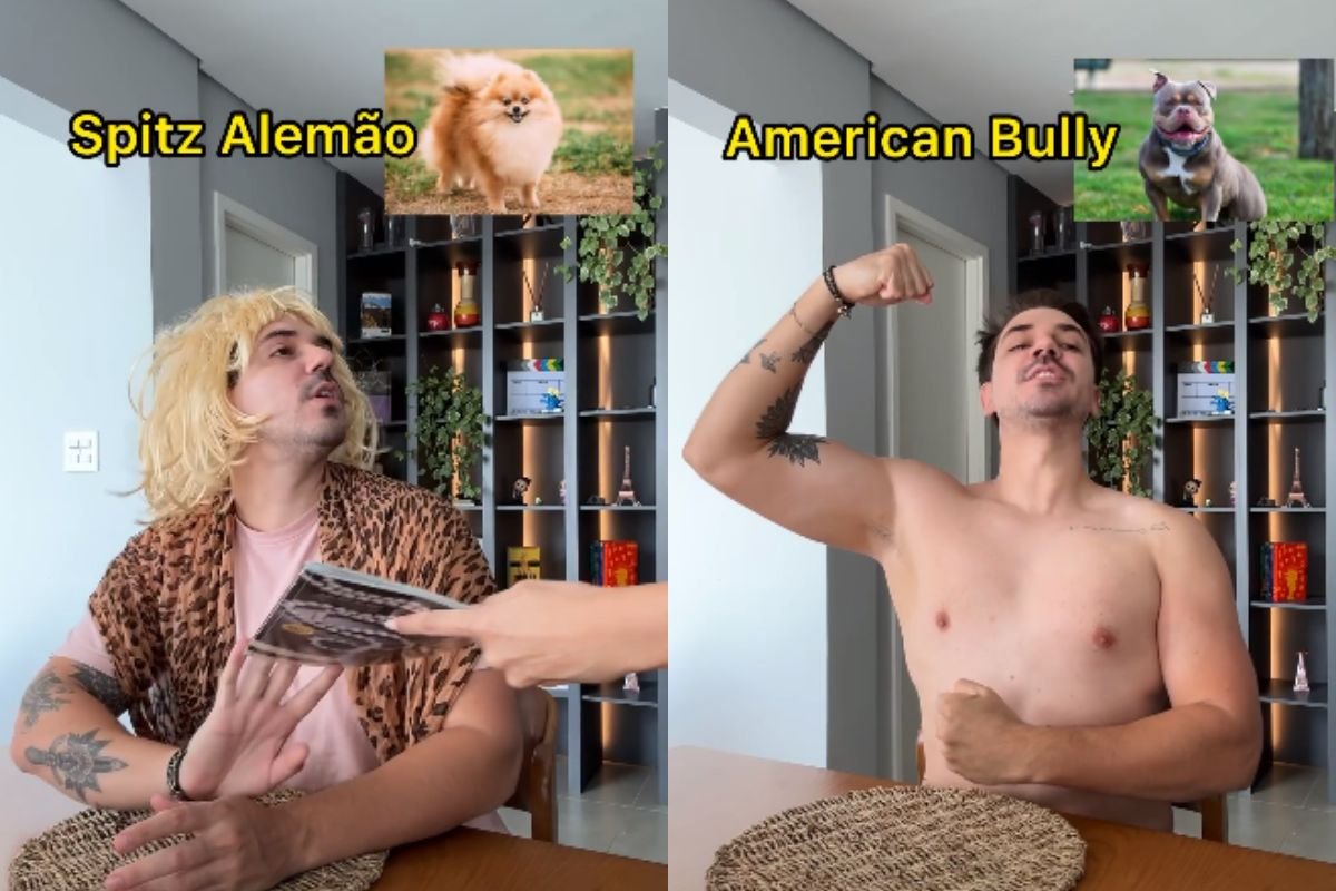 influencer-mostra-como-as-racas-de-caes-se-comportariam-no-restaurante