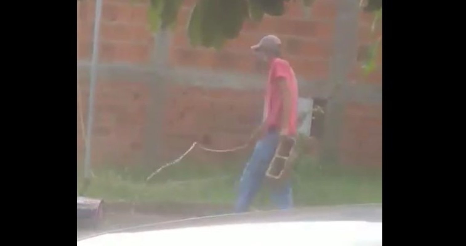 video:-homem-e-flagrado-ao-matar-gato-afogado-em-sao-paulo