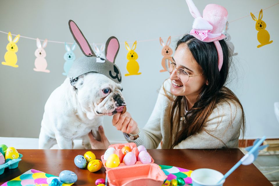 pascoa-em-familia:-como-incluir-os-pets-na-comemoracao-sem-riscos