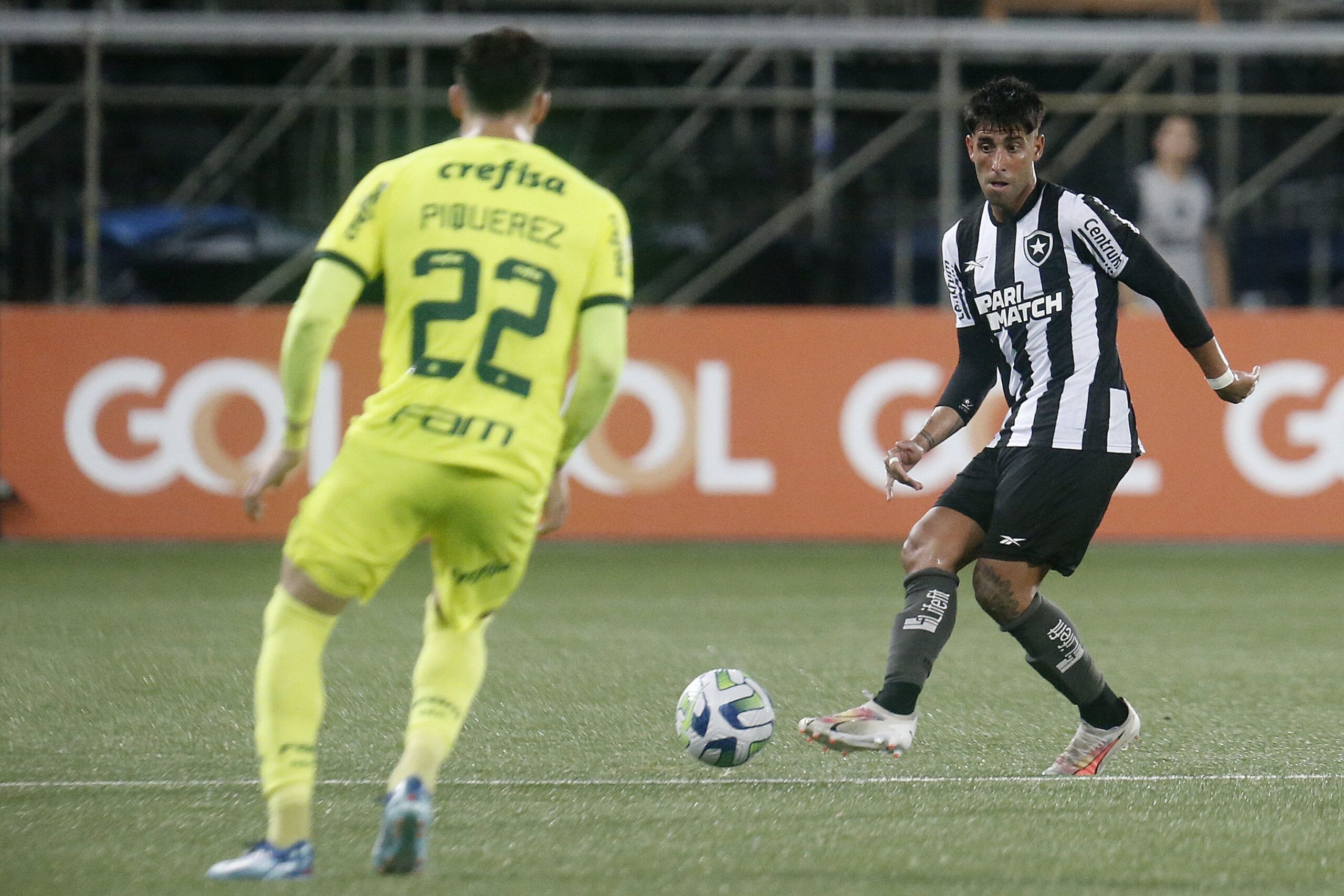 palmeiras-se-manifesta-contra-acusacoes-de-john-textor,-dono-da-saf-do-botafogo