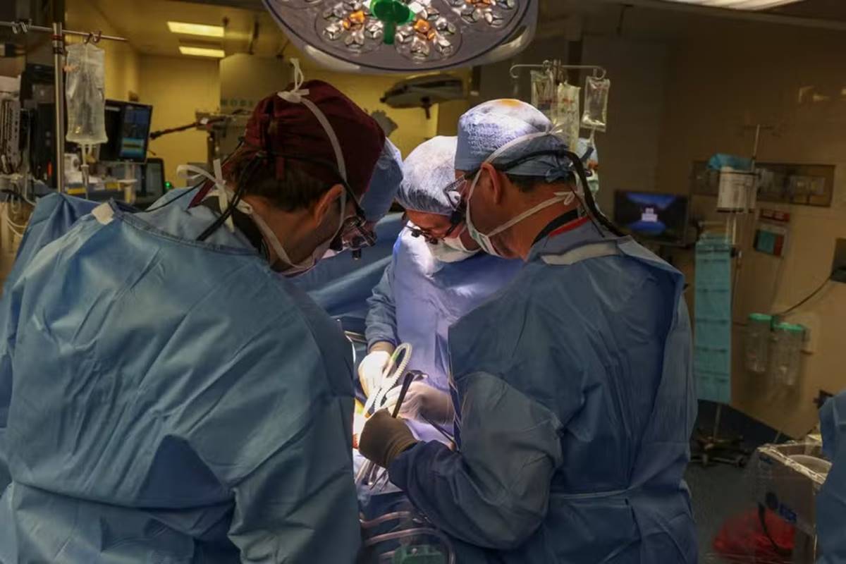 “emocao”,-diz-medico-apos-alta-de-paciente-que-recebeu-rim-de-porco