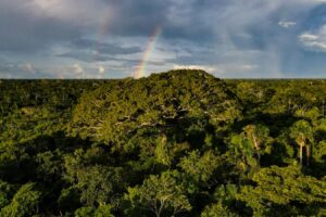 Acre sedia 27º Fórum de Governadores da Amazônia Legal com 54 autoridades