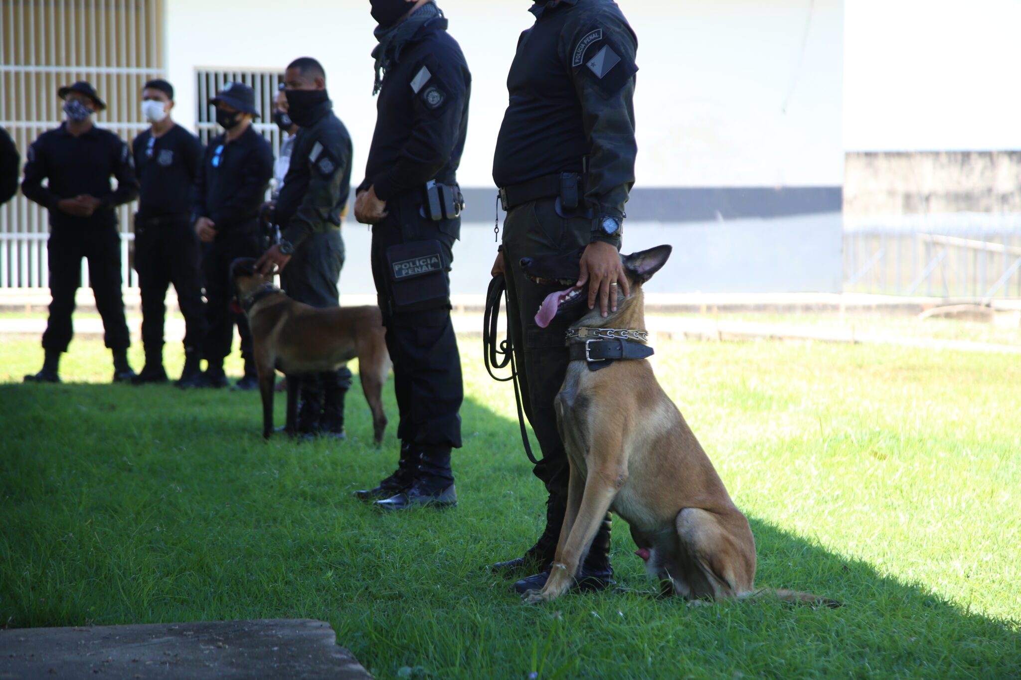 governo-divulga-resultado-definitivo-da-prova-de-aptidao-fisica-do-concurso-do-iapen