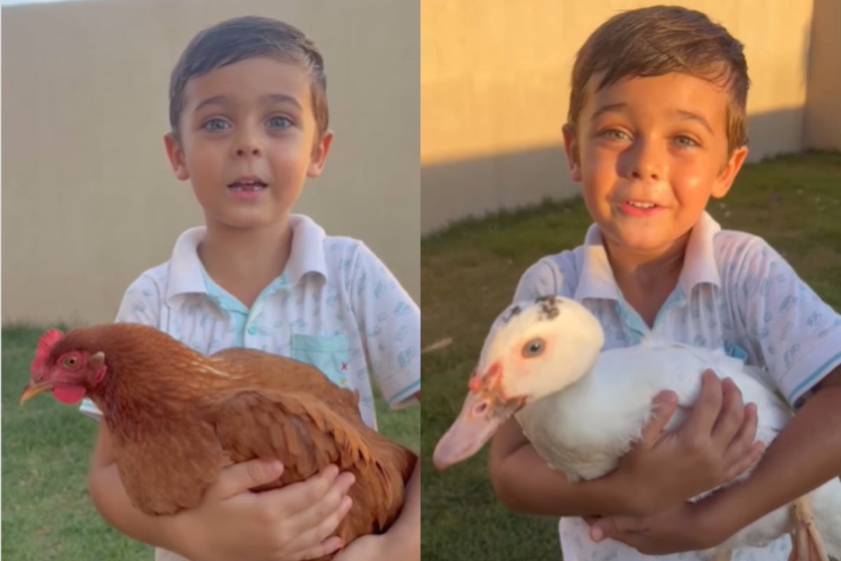 de-galinha-a-pato:-menino-de-5-anos-elege-top-7-animais-de-seu-quintal