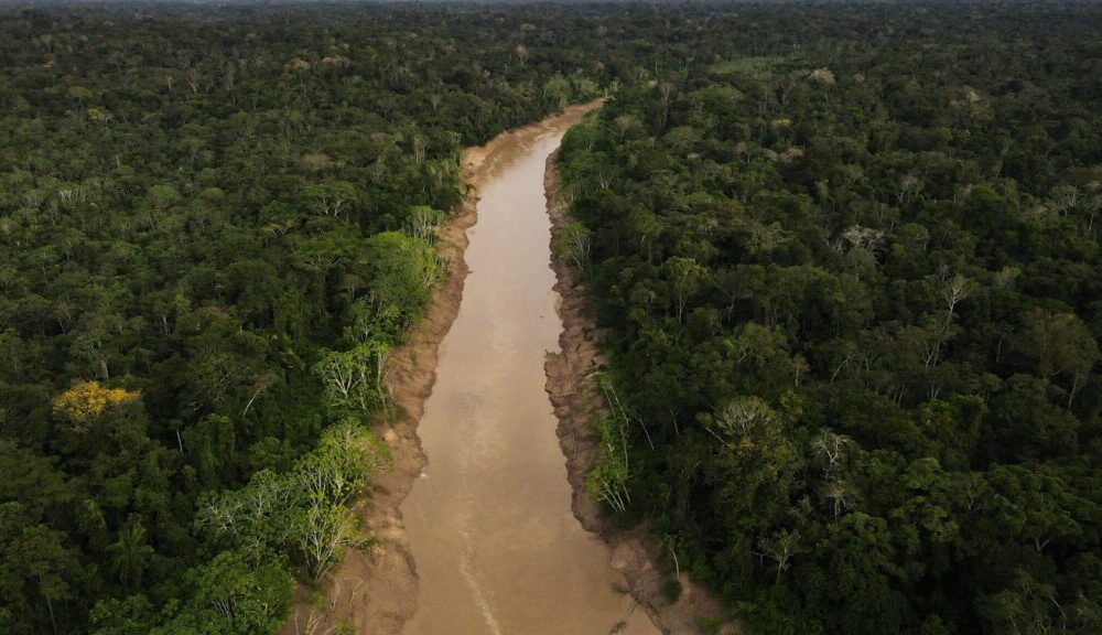 acre-apresenta-reducao-de-30%-nos-alertas-de-desmatamento-em-quase-20-dias-do-mes-de-abril