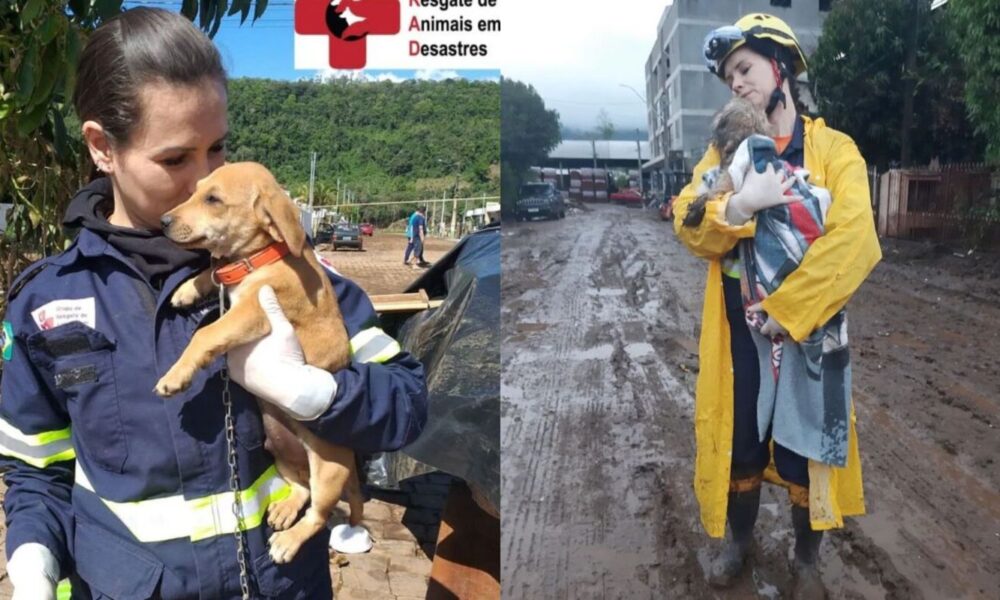 “desesperador”,-diz-veterinaria-a-frente-de-resgate-de-animais-no-rs
