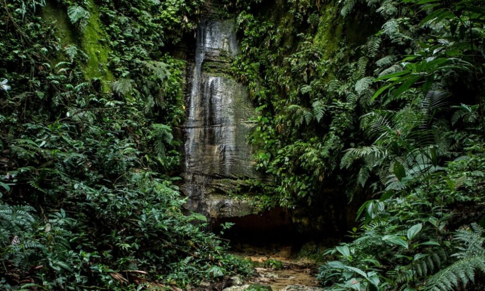secretaria-de-meio-ambiente-apoia-oab-na-realizacao-do-1o-circuito-interseccional-da-amazonia