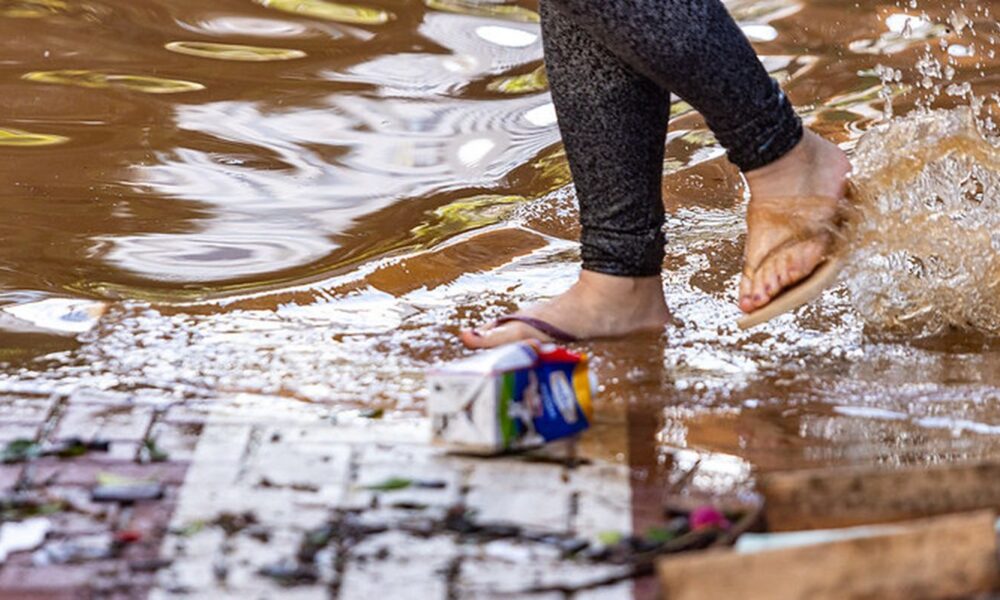 com-recuo-da-agua,-porto-alegre-enfrenta-lixo-na-rua,-ratos-e-insetos
