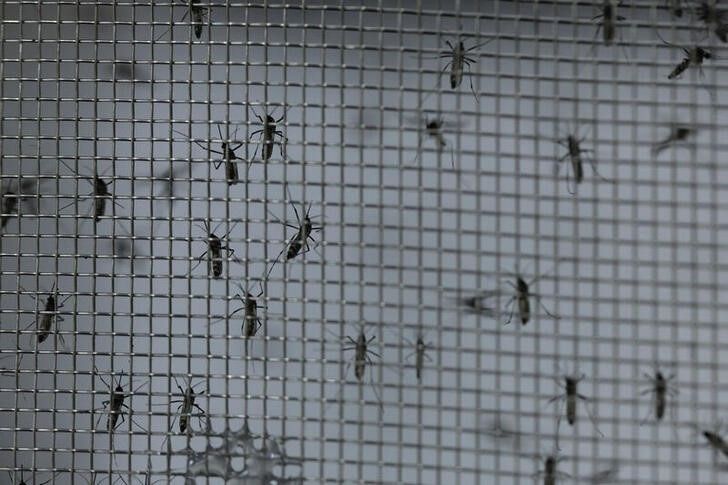 brasil-ultrapassa-5-milhoes-de-casos-provaveis-de-dengue-em-2024