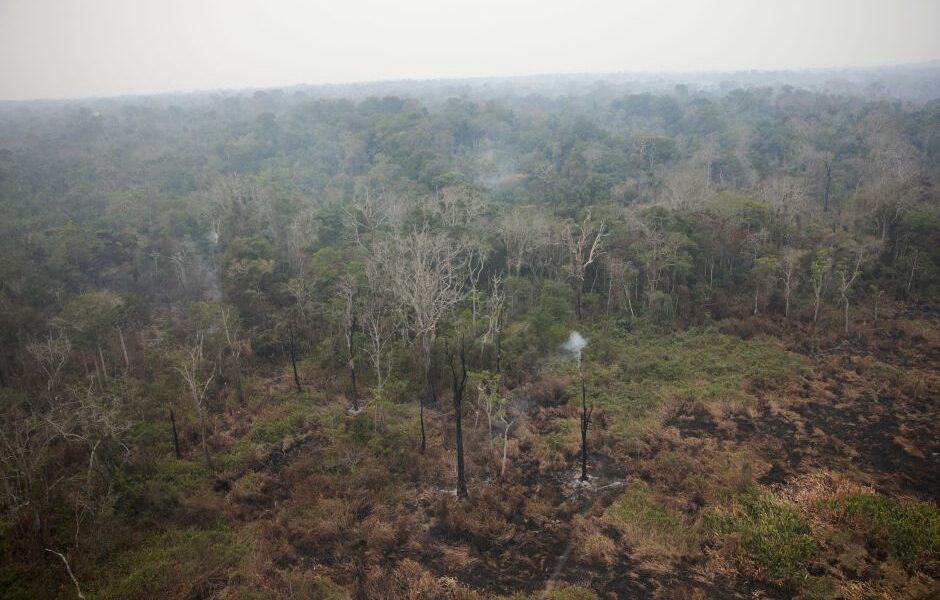 com-reducao-no-combate,-incendios-na-amazonia-brasileira-batem-recorde-no-inicio-em-2024