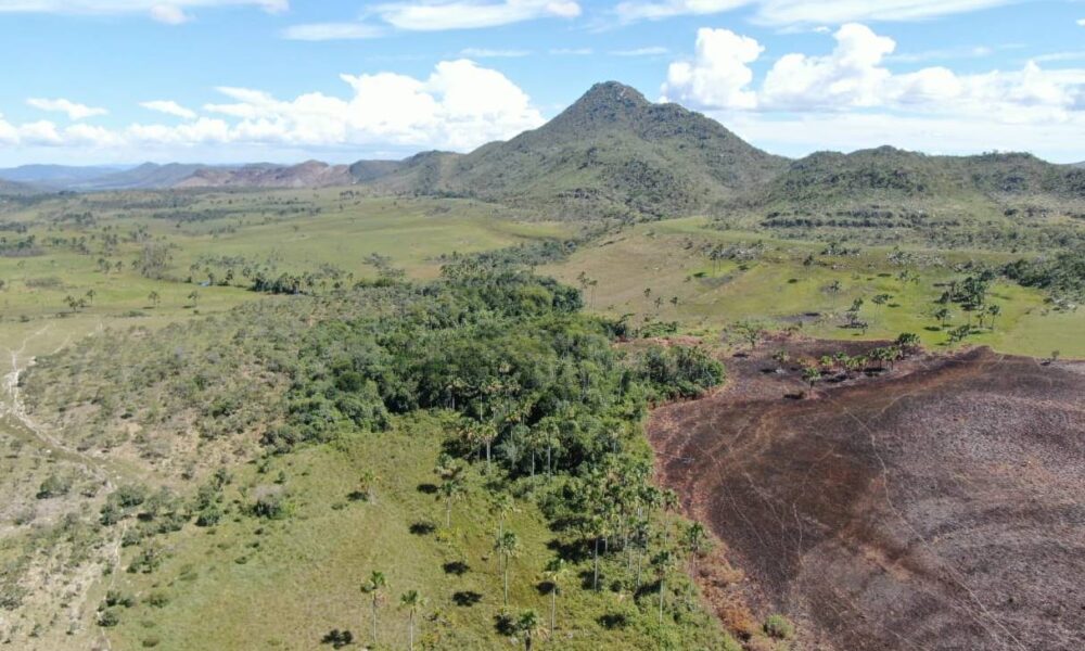 territorio-kalunga-na-chapada-e-o-quilombo-mais-ameacado-por-mineracao